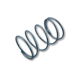 Inlet Fuel Filter Spring Holley Carter Rochester [66-37]