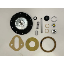 Fuel Pump Kit Buick Hudson International Nash Oldsmobile Packard Pontiac White 19mm valves (097FPK)