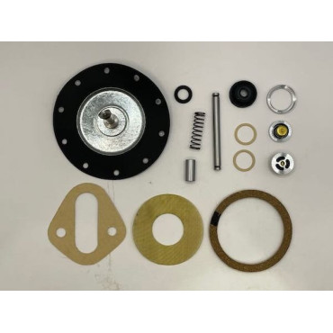 Fuel Pump Kit Buick Hudson International Nash Oldsmobile Packard Pontiac White 19mm valves (097FPK)