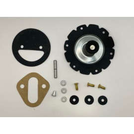 Fuel Pump Kit Ford Truck V8 1962-64, Carter Pump [137FPK]