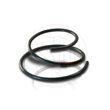 SU Fuel Pump HP armature spring [AUB759]