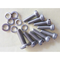 Holley 94 Stainless Steel Screw Set Ford V8, Lincoln V12 + 2100 2110 & 59 Carbs (HSS9-94) 