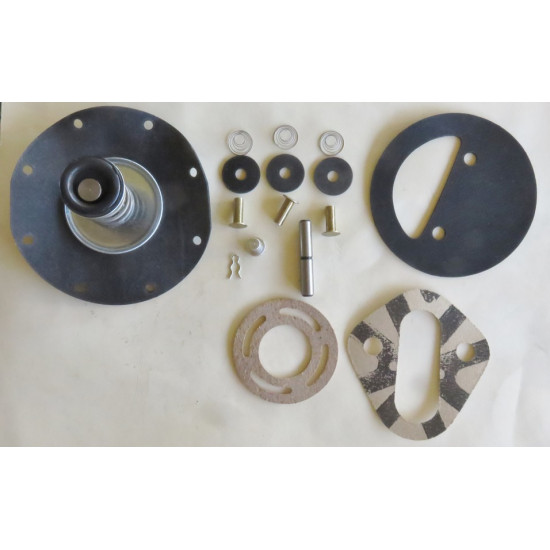Fuel Pump Kit DeSoto 58-62, Dodge V8 58-65, Reo 61-65, Valiant V8 AP6 VC VE, White 63-64 (89FPK) 