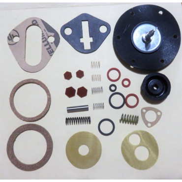 Fuel Pump Kit Hyster H25 S25 Continental engine AC pump [134FPK] 