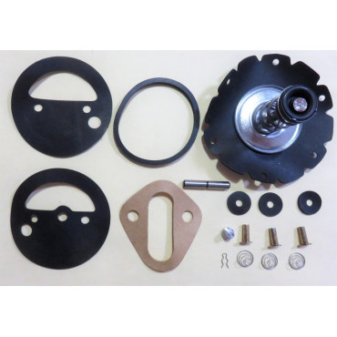 Fuel Pump Kit Ford Galaxie 289CI. 65-66 F Series 63-65 Carter pump [197FPK]