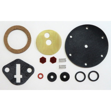 Fuel pump kit Peugeot Renault Simca GUIOT pump 49-70 [266GFPK]