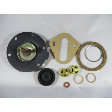 Fuel Pump Kit Falcon XC XD Cortina TE TF Fairlane ZJ Bronco Transit F100 F250 F350 6 CYL. 79-82 for Goss pump (941FPK)  