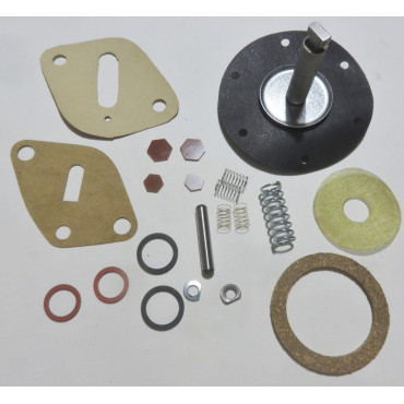 Fuel pump kit Graham Hupmobile Nash Oldsmobile Reo '34-36 [979FPK] 