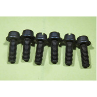 Fuel Pump Screws - hold valve housing to pump body, AC, Goss, Carter, Holley, others (10-32S) 