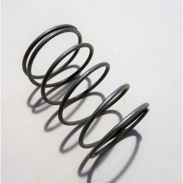 Fuel pump diaphragm spring AC Goss Holden 2" L x 1.3" O.D. [158PS]