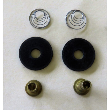 Carter Fuel Pump Valve replacement KIT [CVK3]