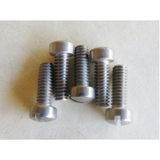 Stromberg screw kit 4 x 5/8" plus 2 x 3/4" Slot Head polished SS inc spring washers [SBSK06]