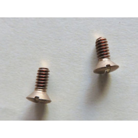 Stromberg BV-2, BOV-2, BXV-2, BXOV-1, BXOV-2, BXOV-3, BXUV-3 Throttle Shaft Screws (P20904)   