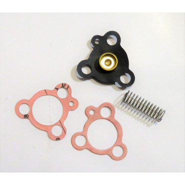 Zenith 30VIG-3 30VIG-5 30VIG-6 30VIG-7 30VIG-8 30VIG-9 30VIG-10 30VIG-11 Austin Bedford Ford Lanchester Metropolitan Vauxhall Volvo Economy Diaphragm kit includes SHORT Spring (B17325)  